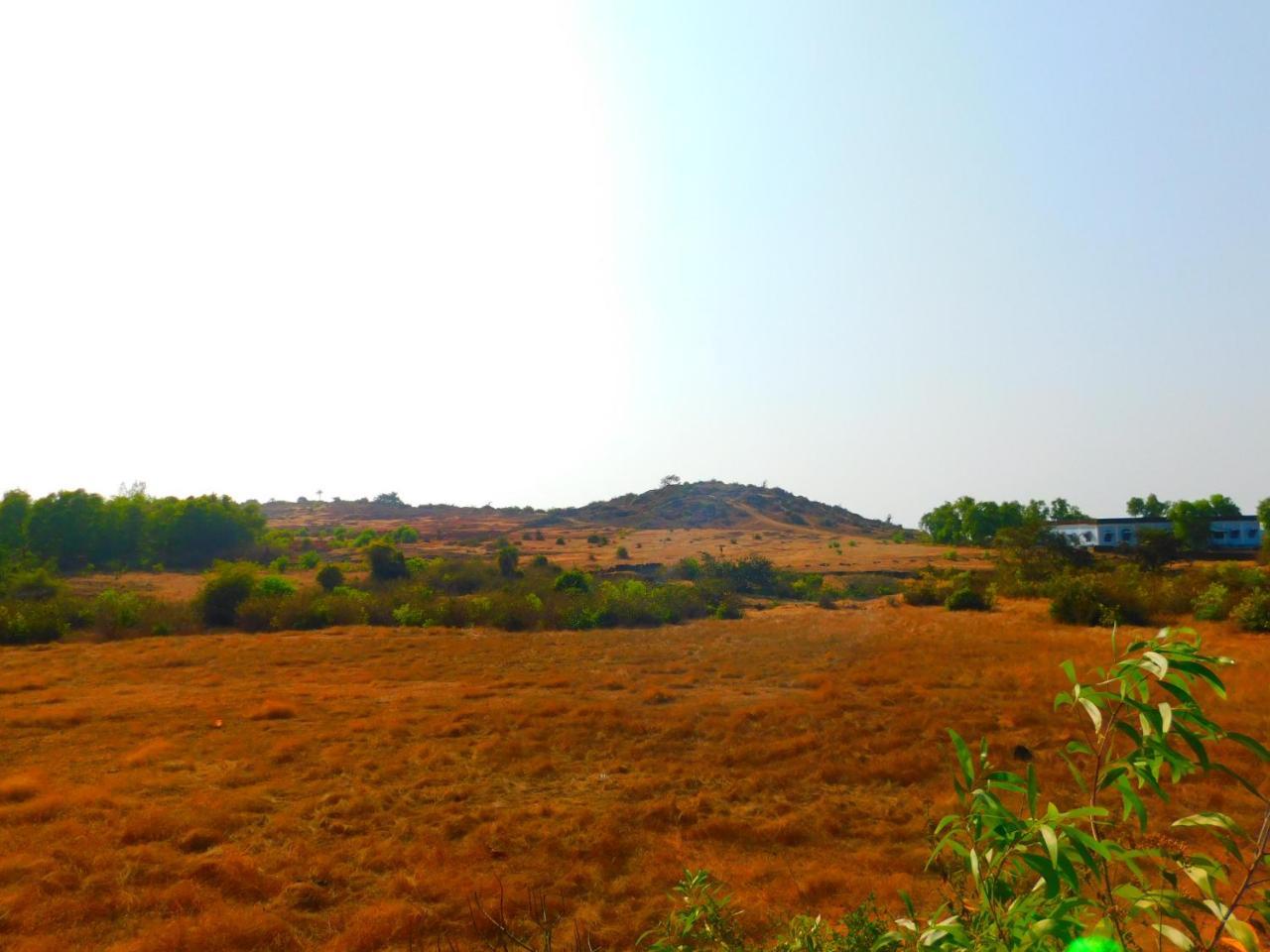 Coconut Tree Resort Gokarna Gokarna  Εξωτερικό φωτογραφία