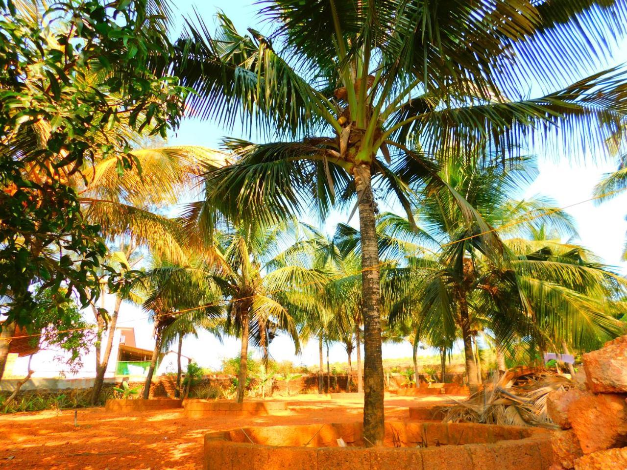 Coconut Tree Resort Gokarna Gokarna  Εξωτερικό φωτογραφία