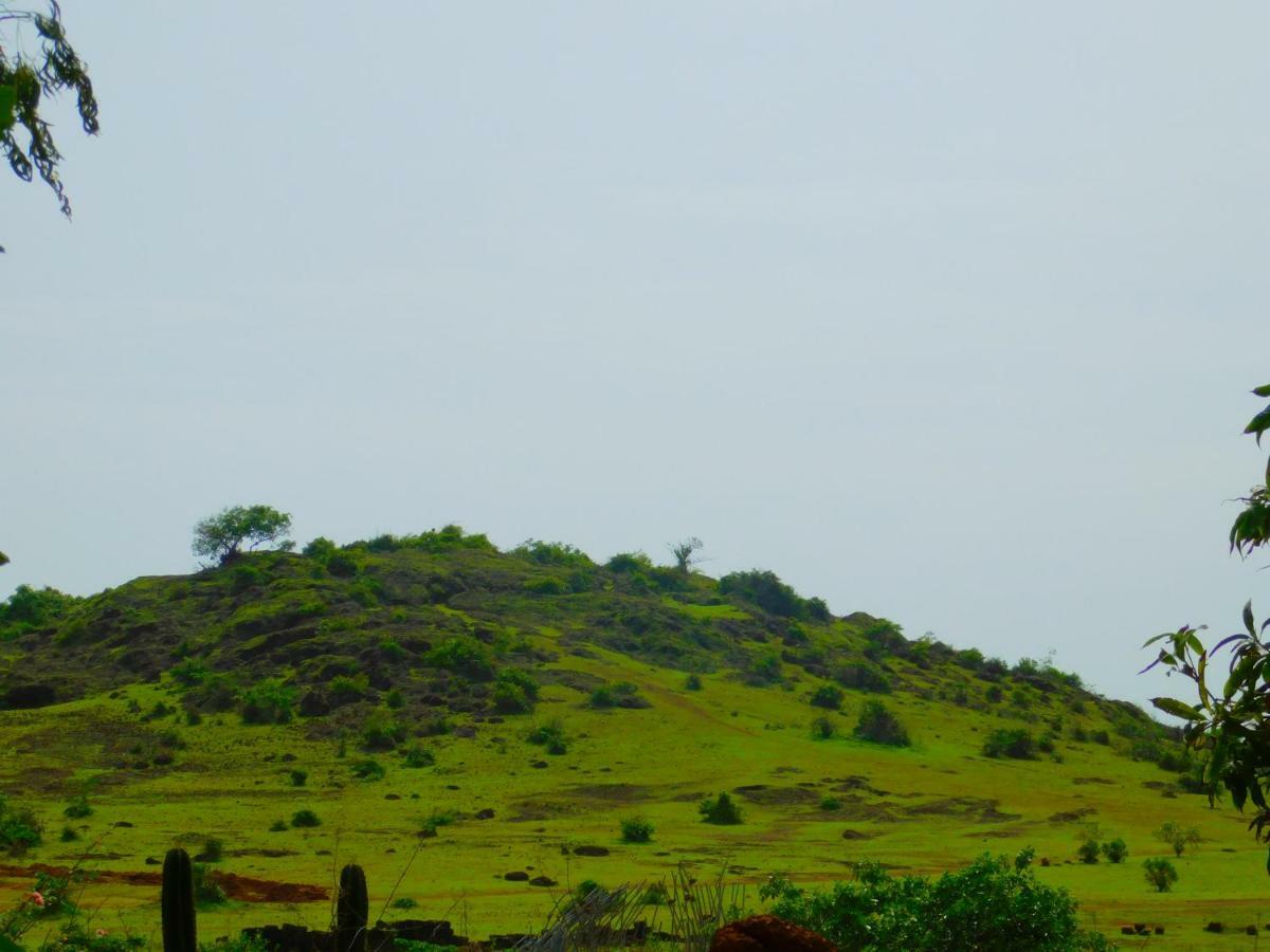 Coconut Tree Resort Gokarna Gokarna  Εξωτερικό φωτογραφία